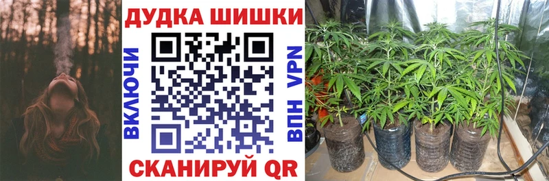 Бошки Шишки Лесной