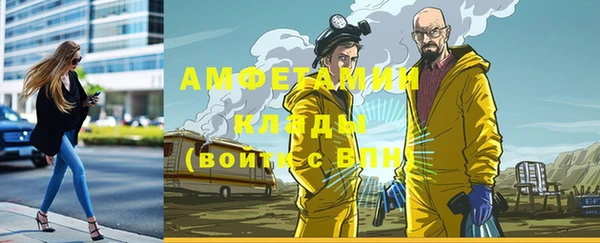 хмурый Аркадак