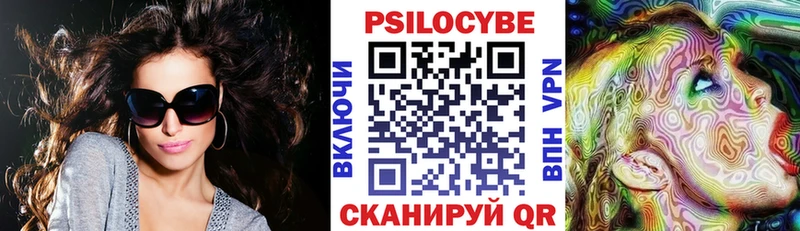 Галлюциногенные грибы Psilocybine cubensis купить Лесной